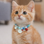 Schattige kattenhalsband met belletjes