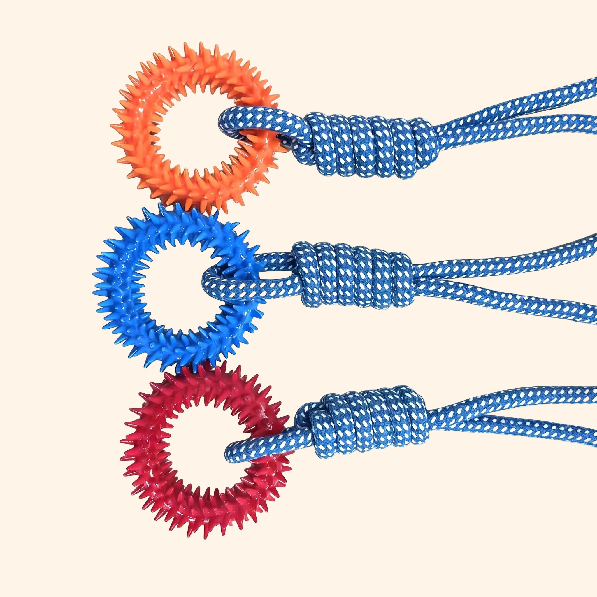 Corde Interactive pour chiens