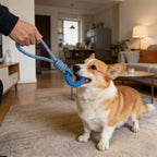 Corde Interactive pour chiens