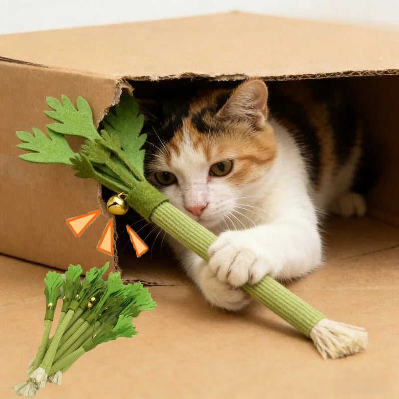 Kauwstaafje met kattenkruid - Interactief speeltje voor het reinigen van de tanden