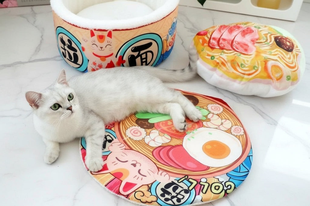 Panier Chat Bol de nouilles