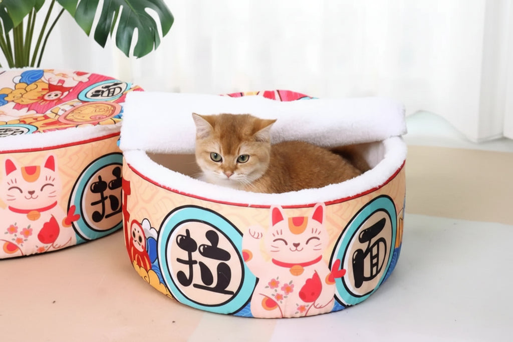 Panier Chat Bol de nouilles