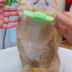 Zelfreinigende kattenkam - PUSH