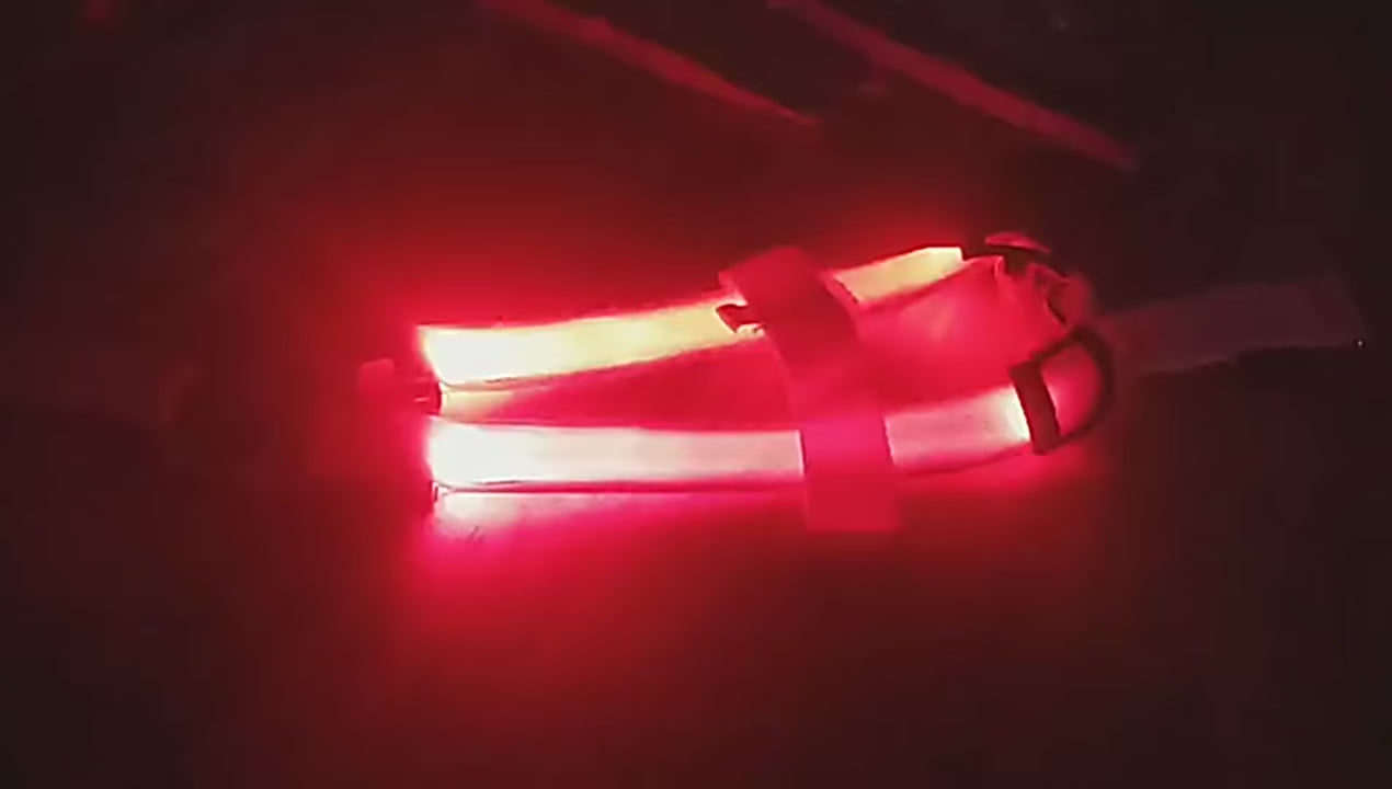 Collier Lumineux LED