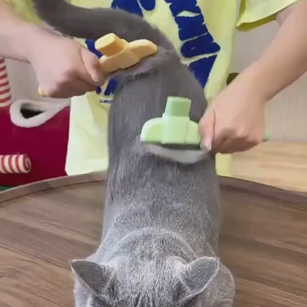 Zelfreinigende kattenkam - PUSH