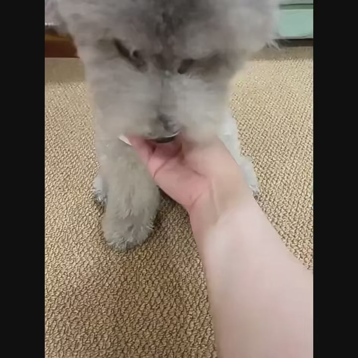 Biologisch afbreekbare hondenpoepzakjes - met geur en lekvrij