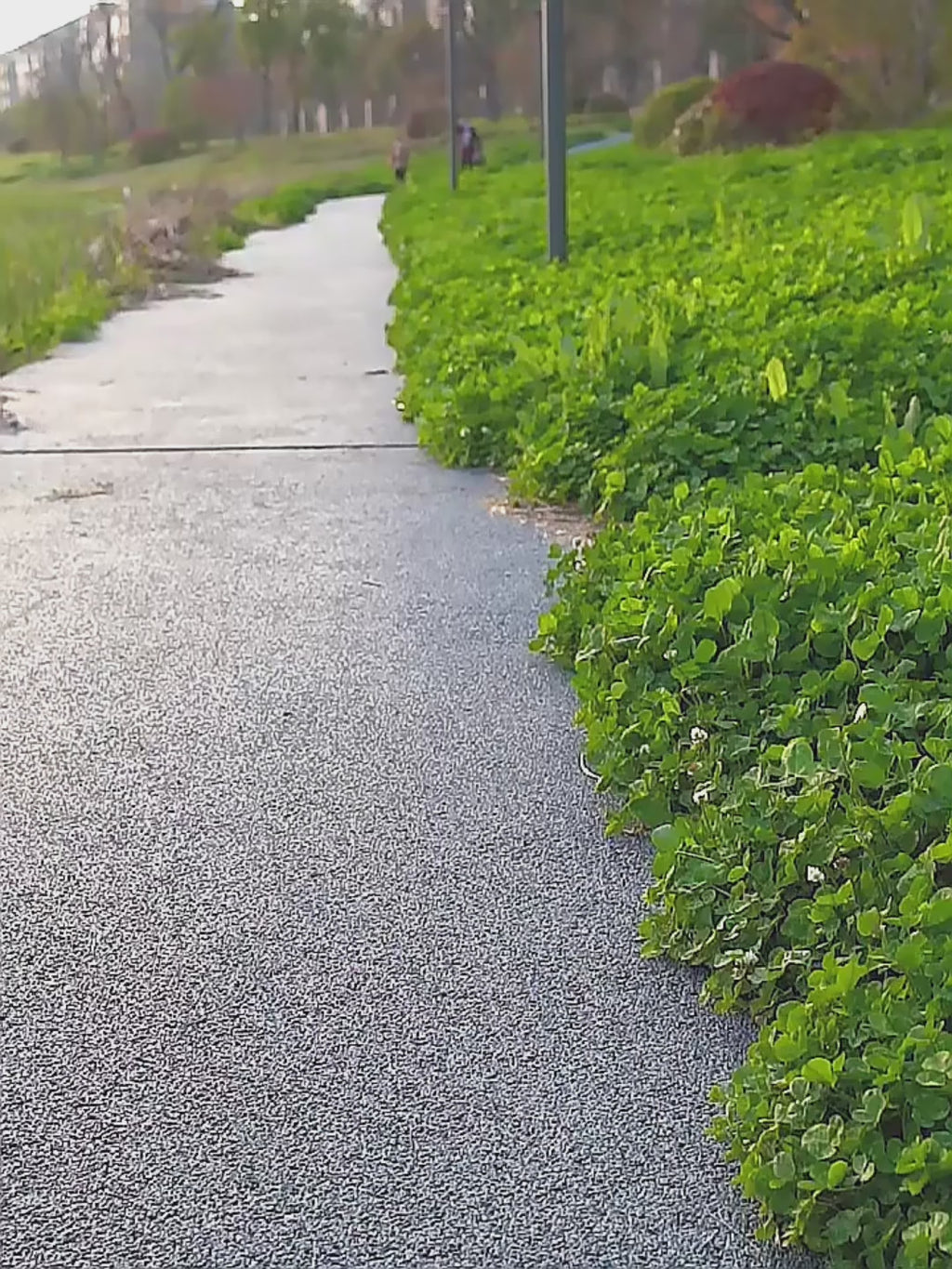 Gourde & Gamelle Portable - BALADE