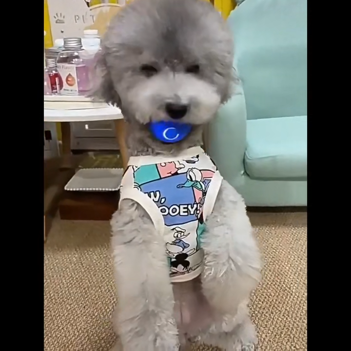 Automatische interactieve hondenbal